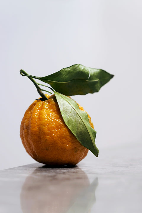 Fragancia de Infusión de Bergamota